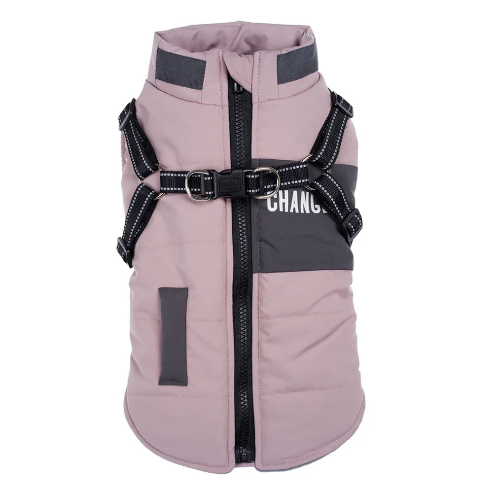 Dog wearing the TempTrek TrailShield jacket outdoors